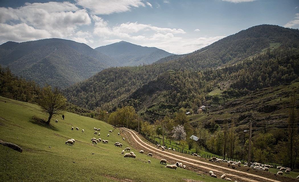 روستاهای تالش ( معرفی ۳۱۳ روستای تالش )-LjhjxhUh1t