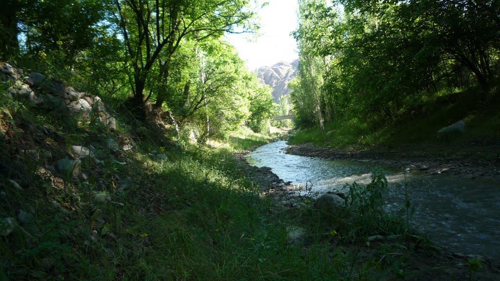 روستای رودمعجن تربت حیدریه-LsBz8wenmL