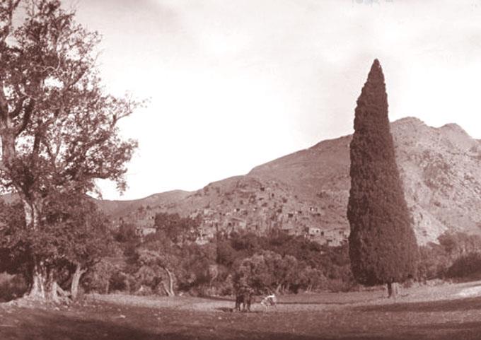 سرو هرزویل-LtnKCE4U31