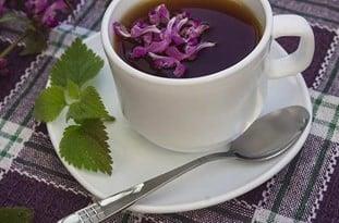 نكا سرزمین گل گاوزبان-LylXDBlbY6