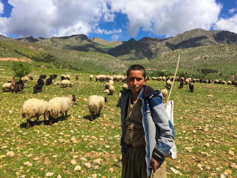 نكات و نحوه سفر به كردستان عراق-M5JkyhcxRW