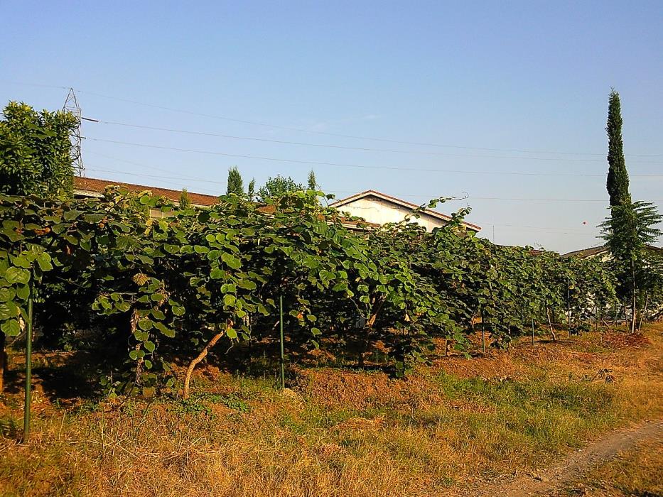 روستاهای آستارا ( معرفی ۶۷ روستای آستارا )-M5cT4eWTeu