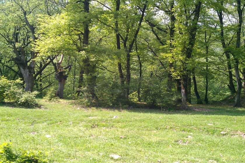 روستای میاندره-MAuZrtZctx