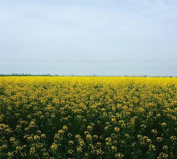 روستای آق بند-MBOPkdsmnm