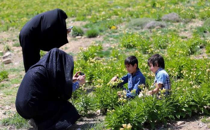 اشك بیمهری بر اشك مریم-MVJxbzGtUq