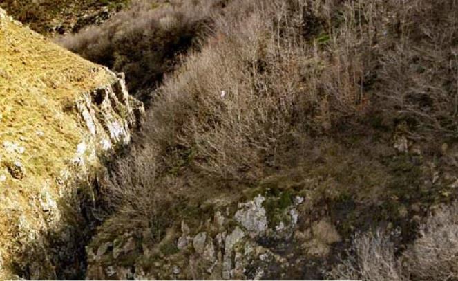 روستای الیت-MdpPIjc6Z2