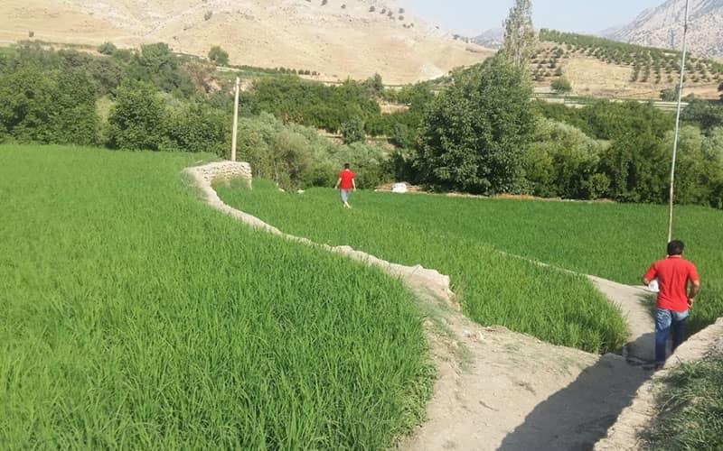 دیدنیهای اطراف اهواز در تابستان-MeH9gyUInG