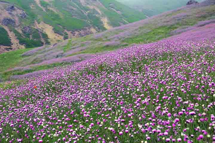 روستاهای اردبیل (معرفی ۱۶۱ روستای اردبیل )-Mf4W6Q057n