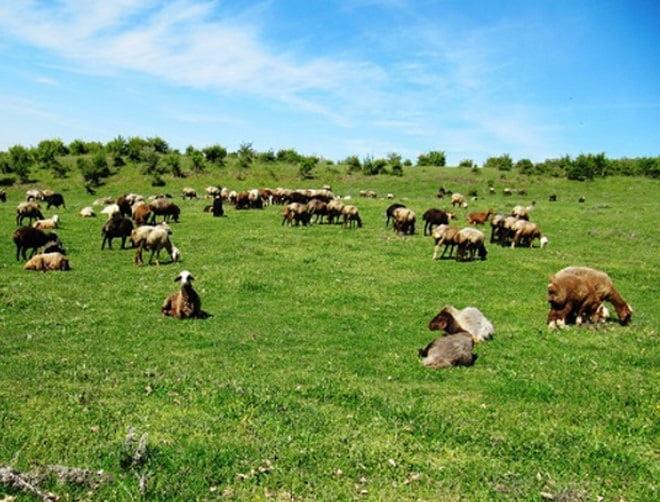 منطقه ییلاقی پاكندس-MuIvYdsLVE