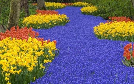 با ۱۰ گردشگاه و فضای سبز زیبای جهان آشنا شویم-MuZzZXl3V2