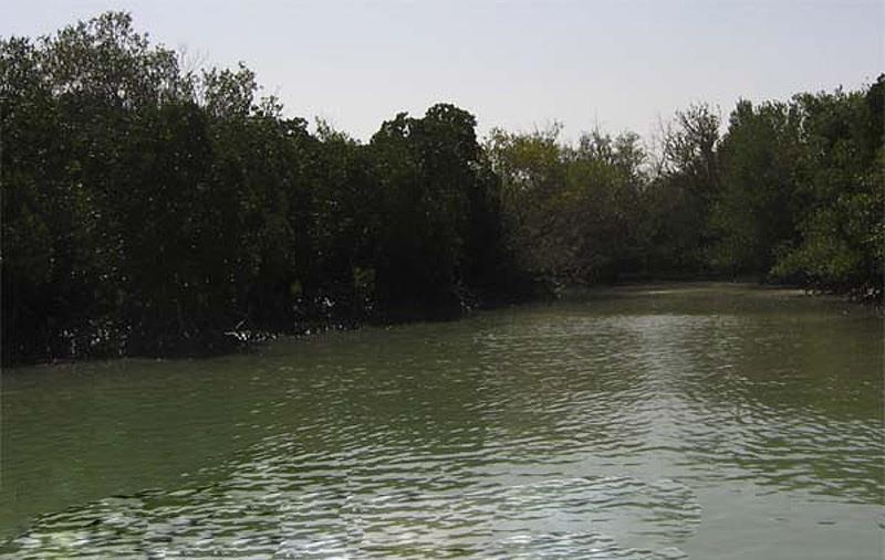 تالاب آذینی ( خور سیریك )-N3JMm2xjXi