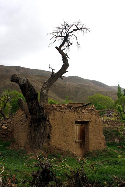 روستای طبر-NABdtclFik
