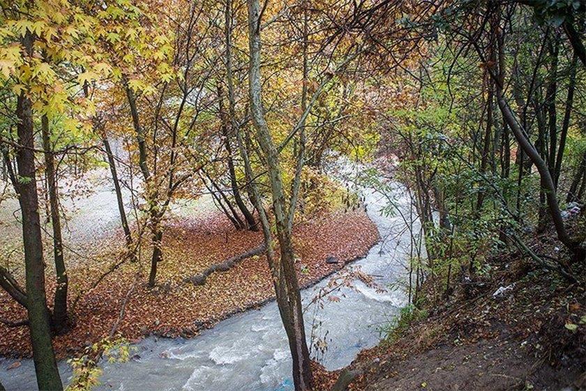 مكانهای مناسب اطراف تهران برای پیك نیك-NFWoBe7h8W