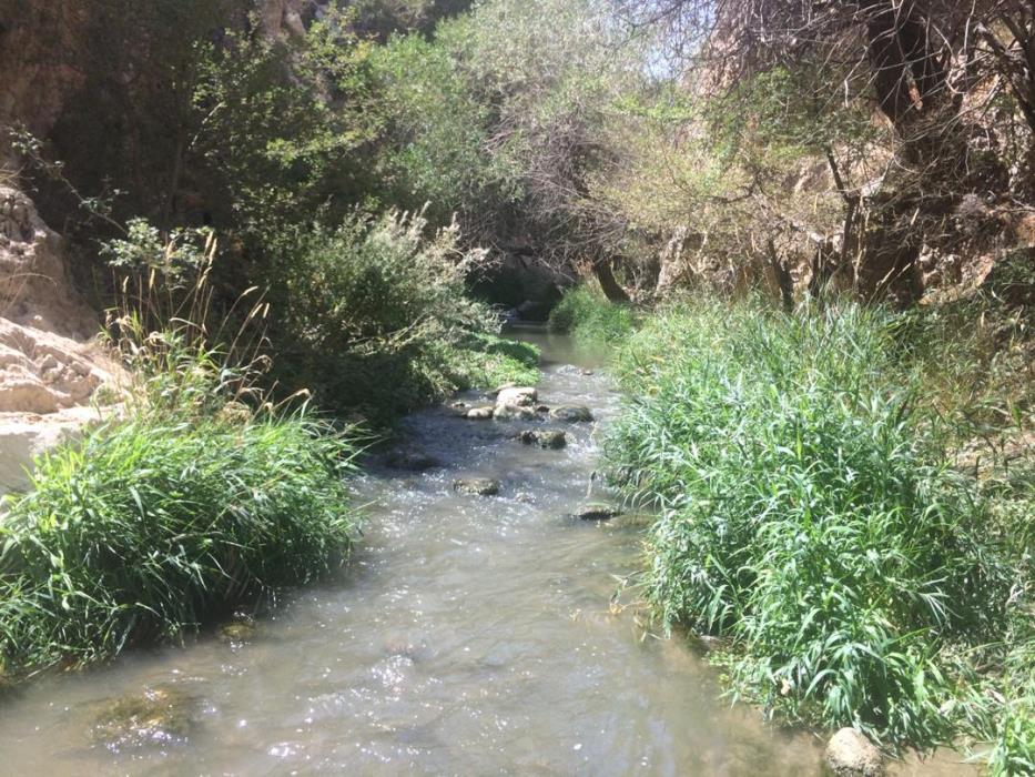 تنگه كمهر اردكان-NHNDJ48dKq