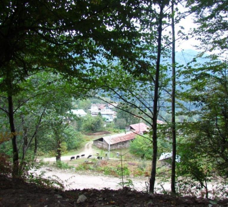 روستای دراسرا-NIJfCFIiRJ