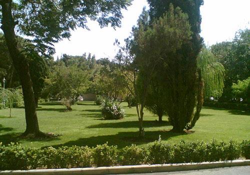 پارك شهر تهران-NOy1j7RFj6