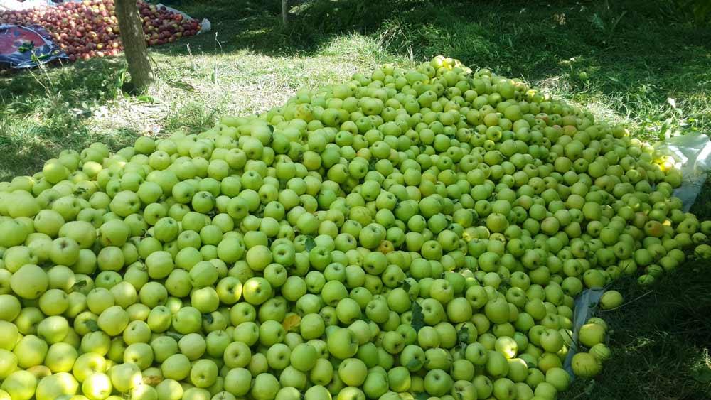 روستای باراندوز ارومیه-NTtkN2FODj