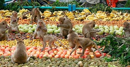 حقیقت هایی درباره «تایلند» كه نمی دانید-NVPKLe4kgp
