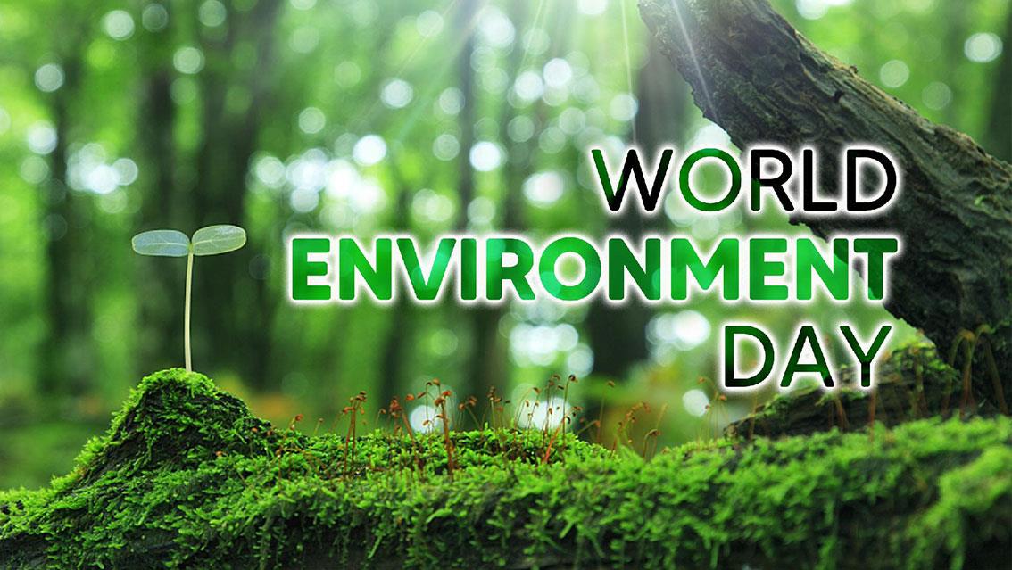 روز جهانی محیط زیست روز پاسداشت مهربانی زمین و آسمان-NW9g4TldeK