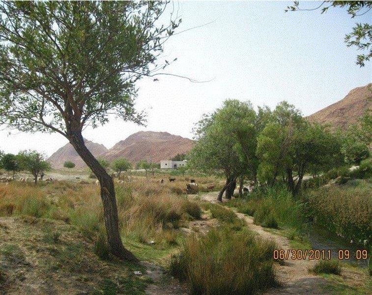 پارك سرچشمه نهر مسیح-NbgghvG0q9