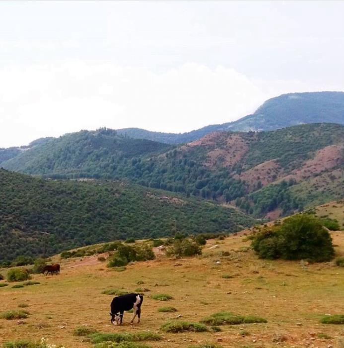 روستای سنگرج-Niq4In2c5L