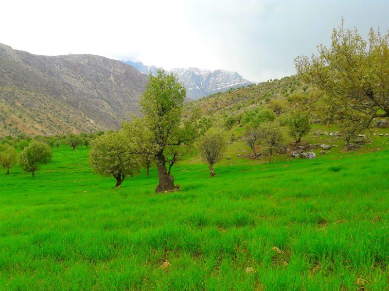 روستاهای خانمیرزا ( معرفی ۱۸ روستای خانمیرزا )-NkBXHaV2cL