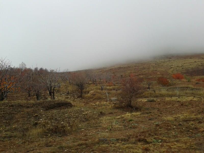 روستای كامان-Noa9VspKgl