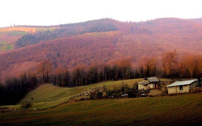روستای اوسا-Ny8Cuy31e4