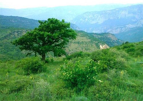 روستای دشت جاجرم-Nyl5JWGbEV