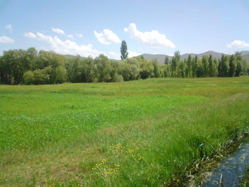 روستای سیس-O03Wf4cT1v