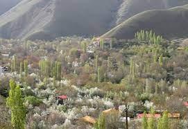 روستای گوراب جاده چالوس-O0HocgOdzr