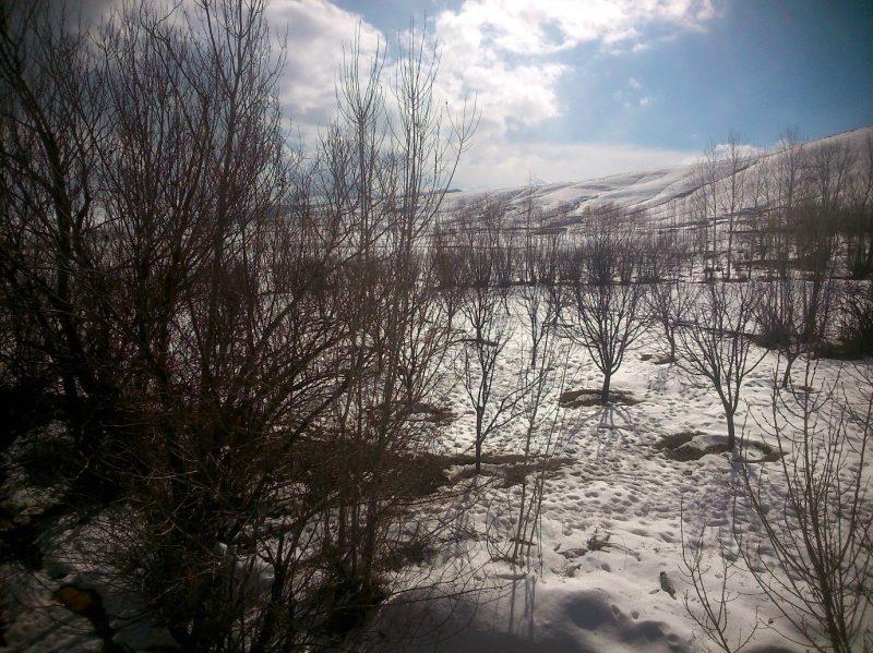 روستای انگورد-O5E9Ab5Maj