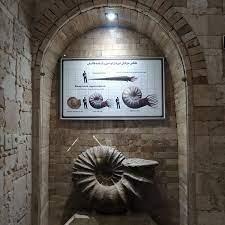 موزه دیرینه شناسی كامبرین-O8F6yPlVYP