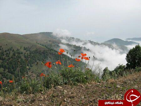 روستای یكه باغ-OBtjDJ24lw