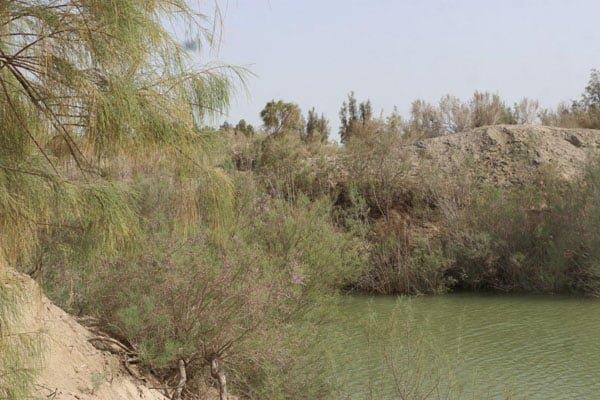 جنگل نیاتك هیرمند-OCuvGP6l8C