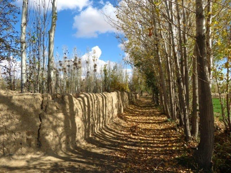 روستای اسفندان كمیجان-ODK9FmX4Gh