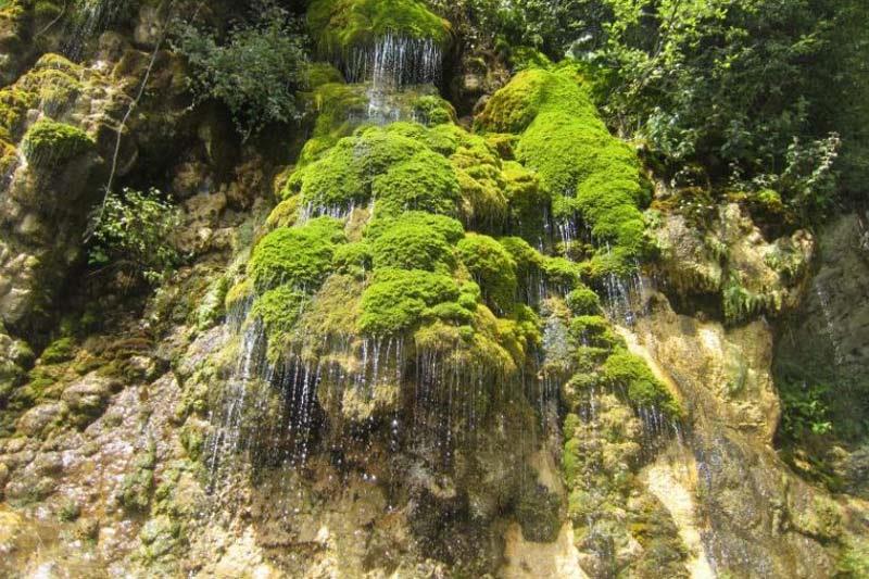 آبشار لاویج نور-OHgQpJnZZb