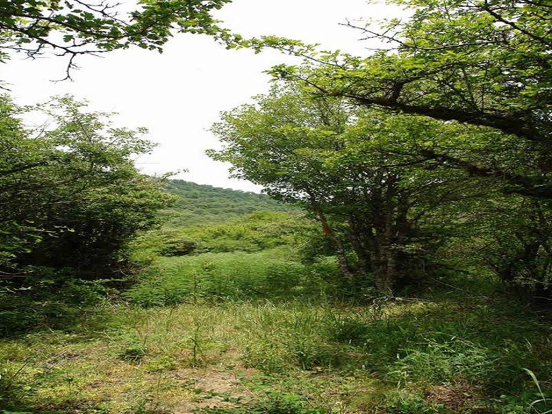 روستای دشت جاجرم-OObKprLcHS
