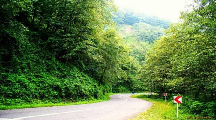 زیباترین جاده های ایران را می شناسید ؟-ORdZZdFup2