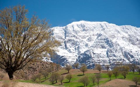 تنگ گنجهای-OUsanEplCk