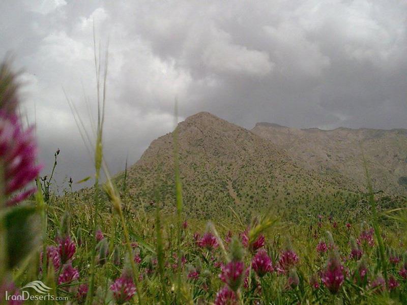 منطقه حفاظت شده كوسالان و شاهو-OXKeC4VYUP