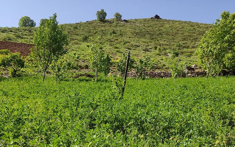 روستاهای بانه ( معرفی ۲۰۵ روستای بانه )-OdP7Z9uFUa