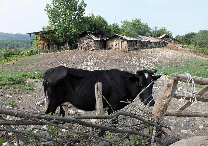 روستای شیاده-OeP7dQ1Ycf