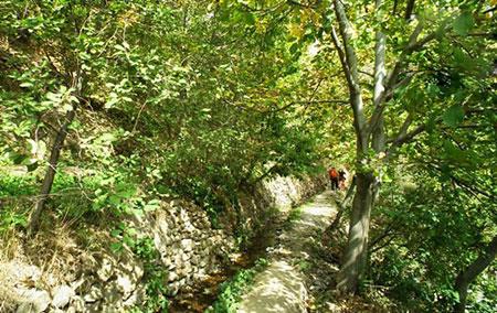 روستای برگ جهان-OiZvobENSI