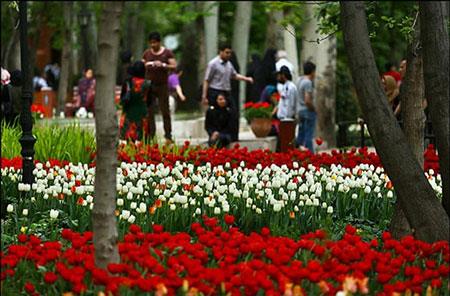 باغ های دیدنی تهران-OvktUSiFD2