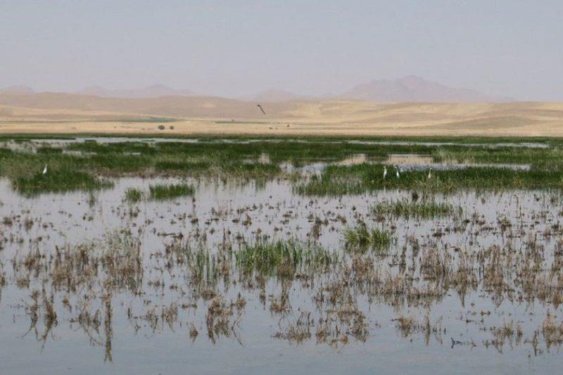 روستای قره گل بوكان-OyOZ99Gyl8