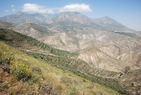 روستای اَویندین-P3adBh6JAe