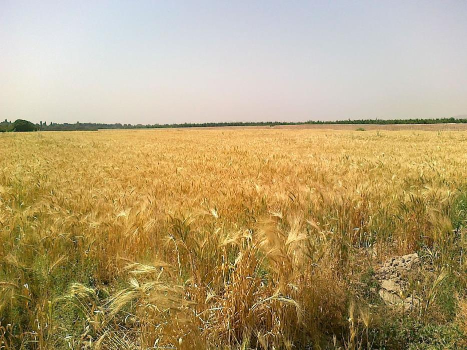 روستاهای شهریار ( معرفی ۵۸ روستای شهریار ) استان تهران, شهریار-P6s0mj8SEQ