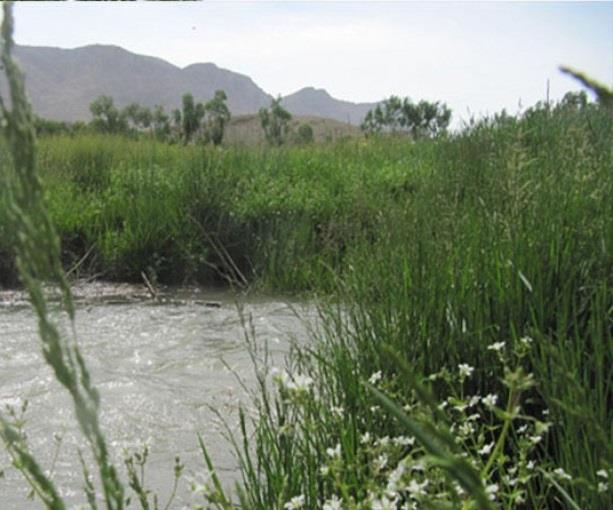 روستای اسفرجان-PGNUV14k39
