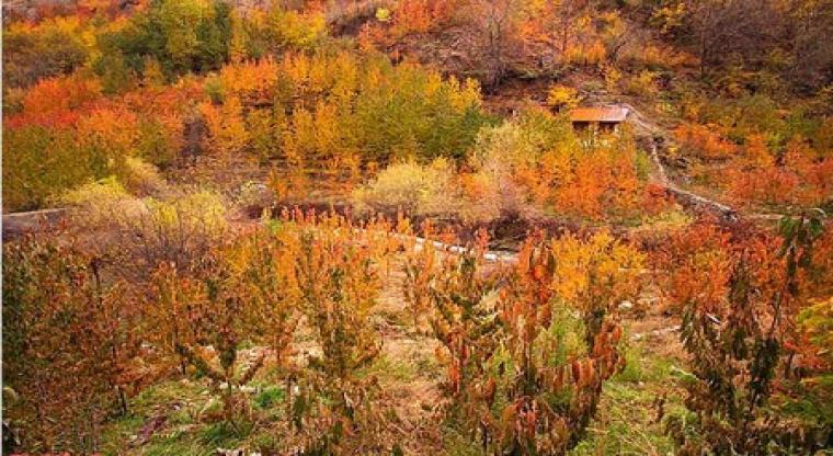 روستای آهار-PHqan0bdhL